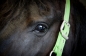 Photoshoot zomer 2011