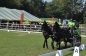 OPEN DAG JELLE'S HOME 2012