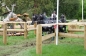 ROYAL WINDSOR