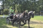 OPEN DAG JELLE'S HOME 2012