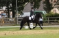 OPEN DAG JELLE'S HOME 2012
