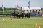 LAHDENER PFERDETAGE 2012