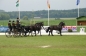 LAHDENER PFERDETAGE 2012