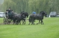 ROYAL WINDSOR