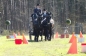 WINST IN ZANDHOVEN (CAN)