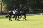 OPEN DAG JELLE'S HOME 2012