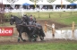 SUCCES IN HORST