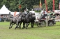 CAI BEEKBERGEN 2012