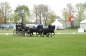SUCCES IN HORST