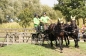 OPEN DAG JELLE'S HOME 2012
